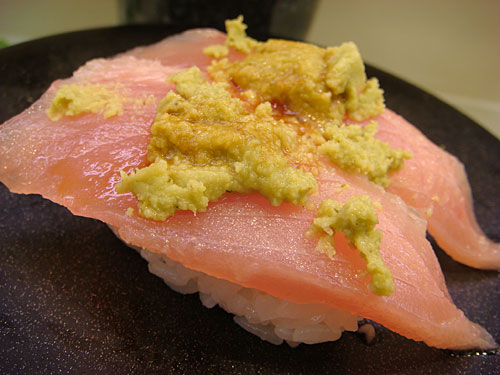 Albacore