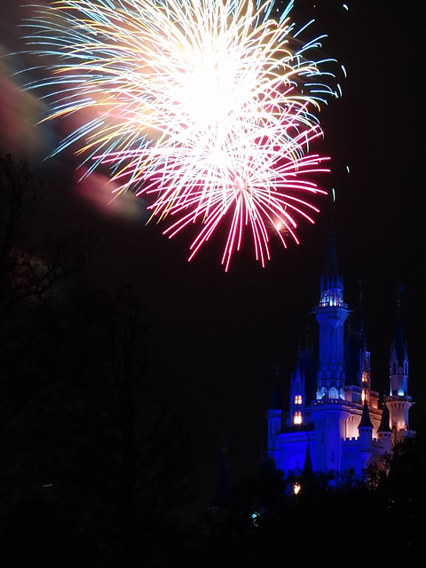 Disney Magic in the Sky