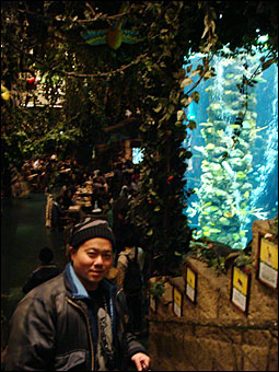 Aquarium