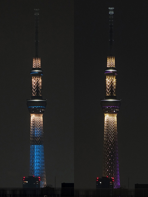 Illuminated TOKYO SKY TREE