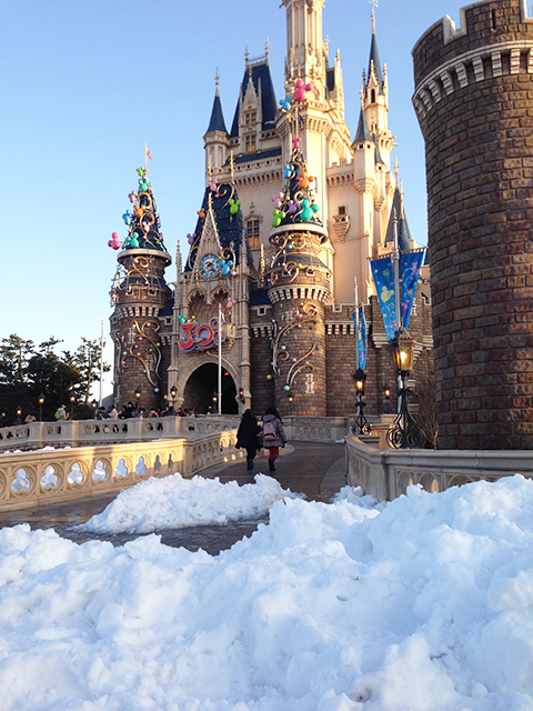 Cinderella Castle