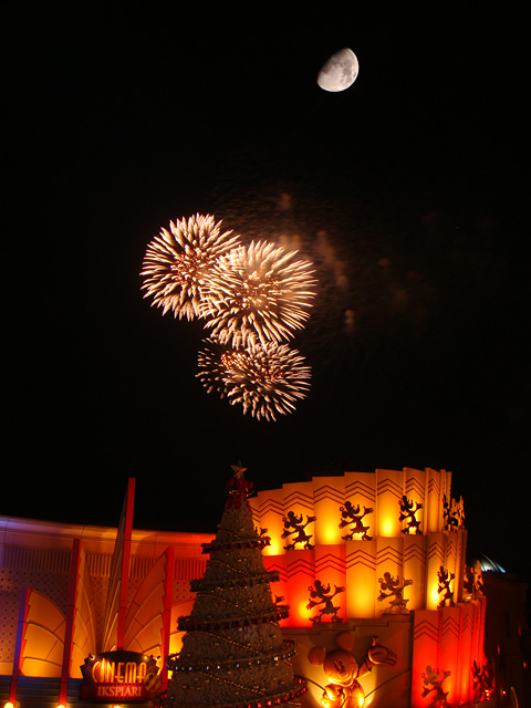 Night High Halloween