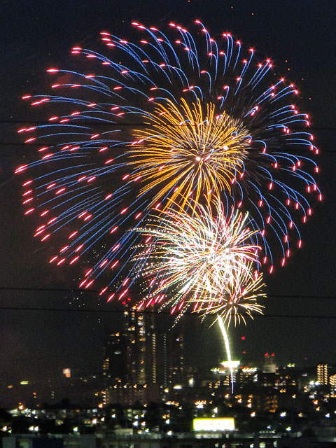 Edogawa Fireworks Festival