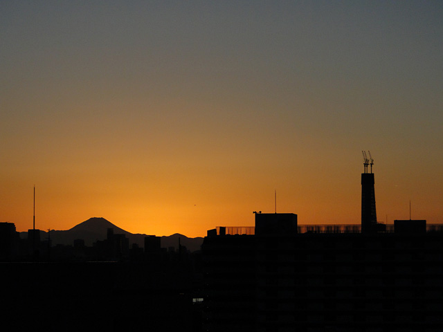 Mt. Fuji and TOKYO SKY TREE