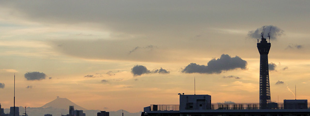 Mt. Fuji and TOKYO SKY TREE