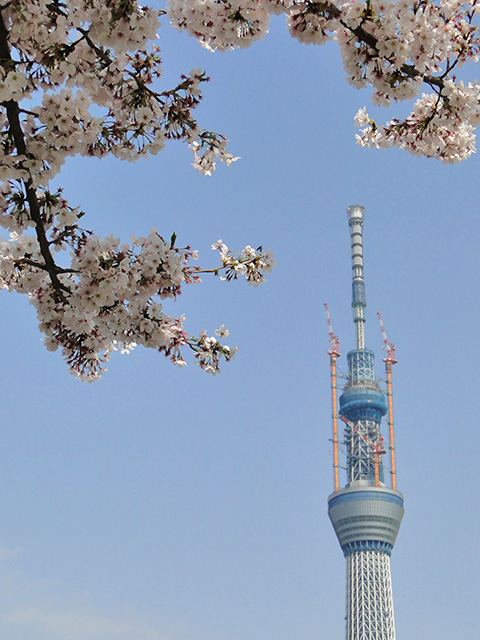 TOKYO SKY TREE