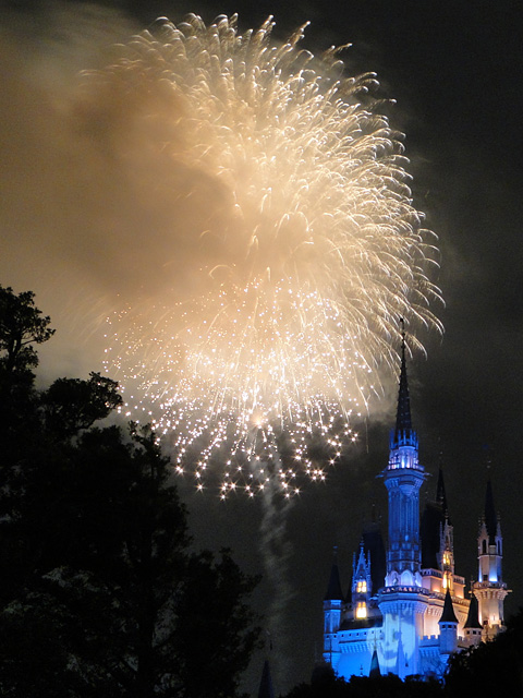 Night High Halloween