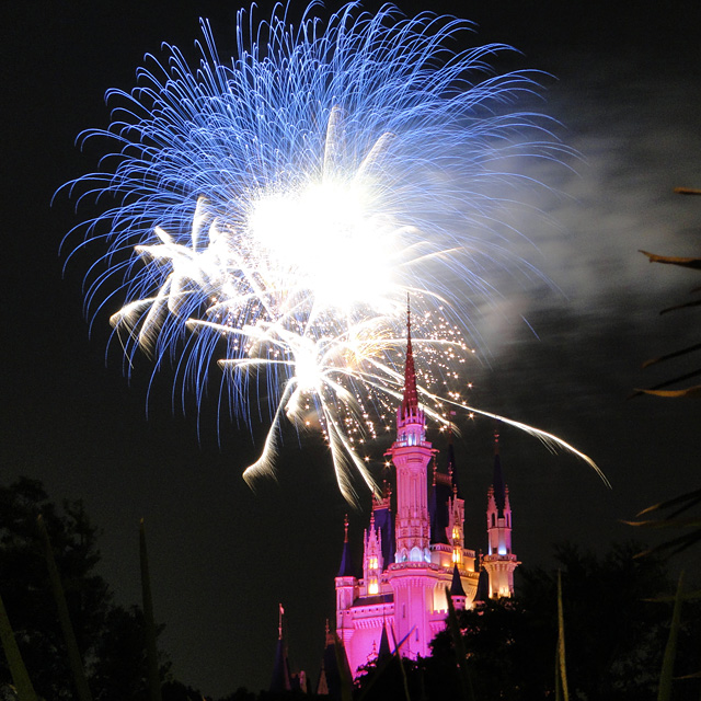 Night High Halloween