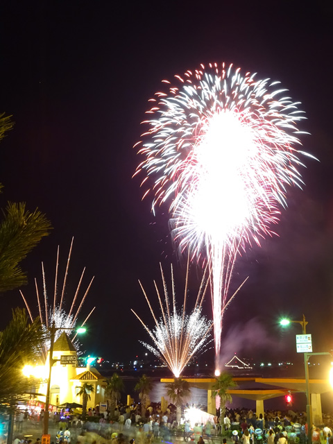 Tateyama Bay Fireworks Festival