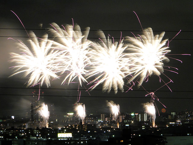 Edogawa Fireworks Festival