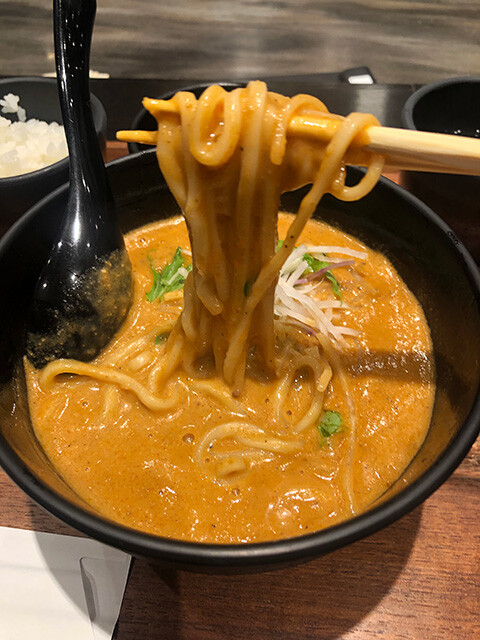 Spicy Curry Udon Noodles