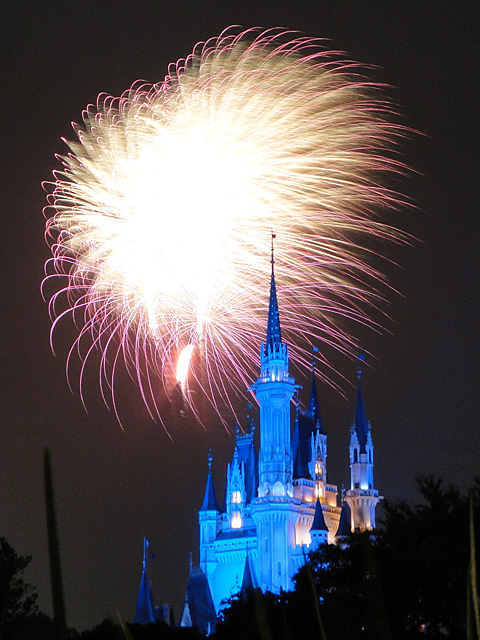 Night High Halloween