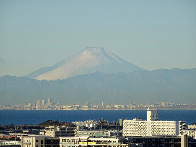 Mt. Fuji