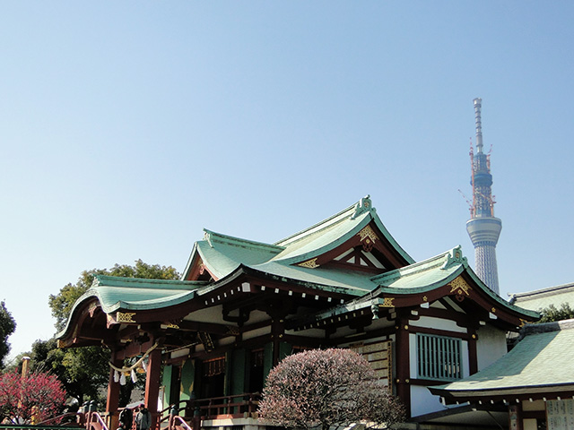 TOKYO SKY TREE from Kameido Tenjin Shrine