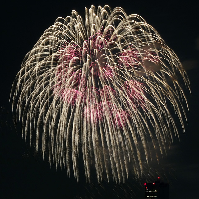 Makuhari Beach Fireworks Festa