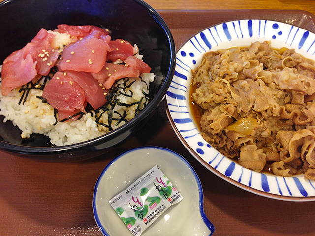 Red Tuna Rice Bowl and Stewed Beef