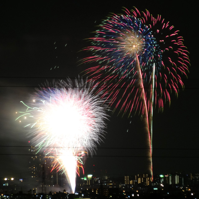 Edogawa Fireworks Festival