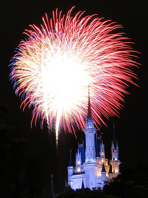 Disney Magic in the Sky