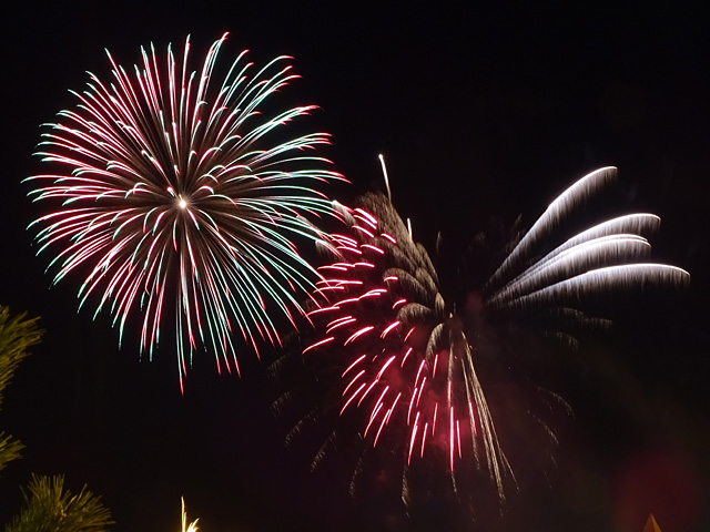 Tateyama Bay Fireworks Festival