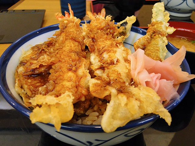 Curry Tempura Rice Bowl