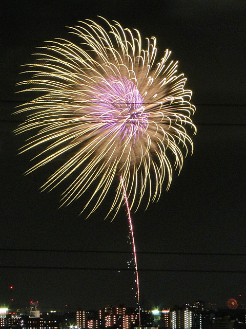 Edogawa Fireworks Festival