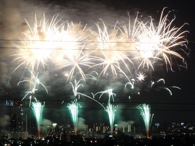 Edogawa Fireworks Festival