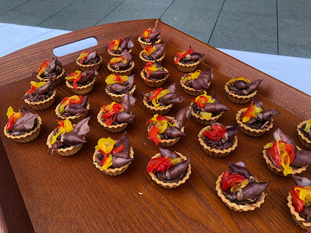Appetizers