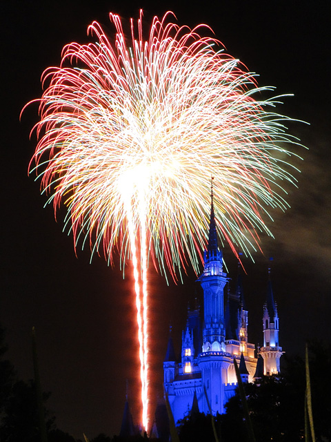 Disney Magic in the Sky