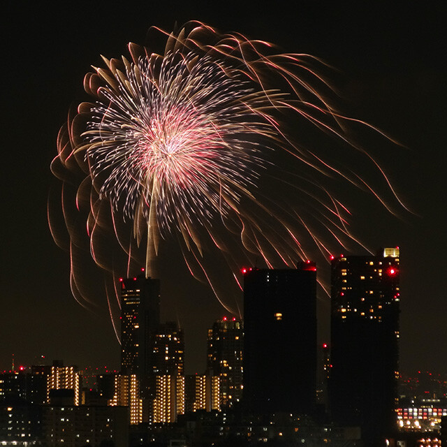 Makuhari Beach Hanabi Festa