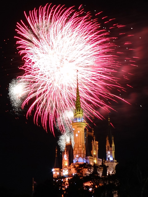 Night High Halloween