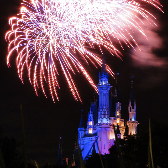 Night High Halloween