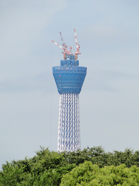 TOKYO SKY TREE