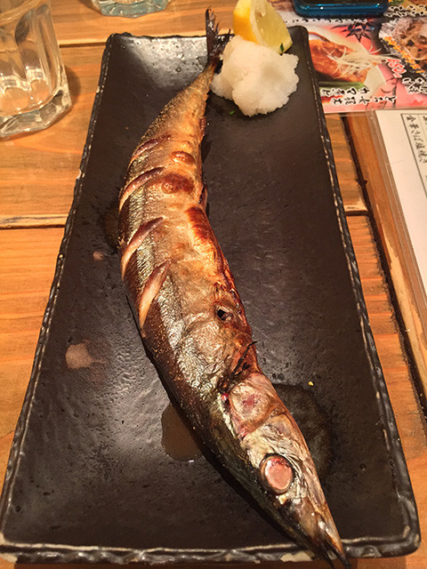 Broiled Saury with Salt