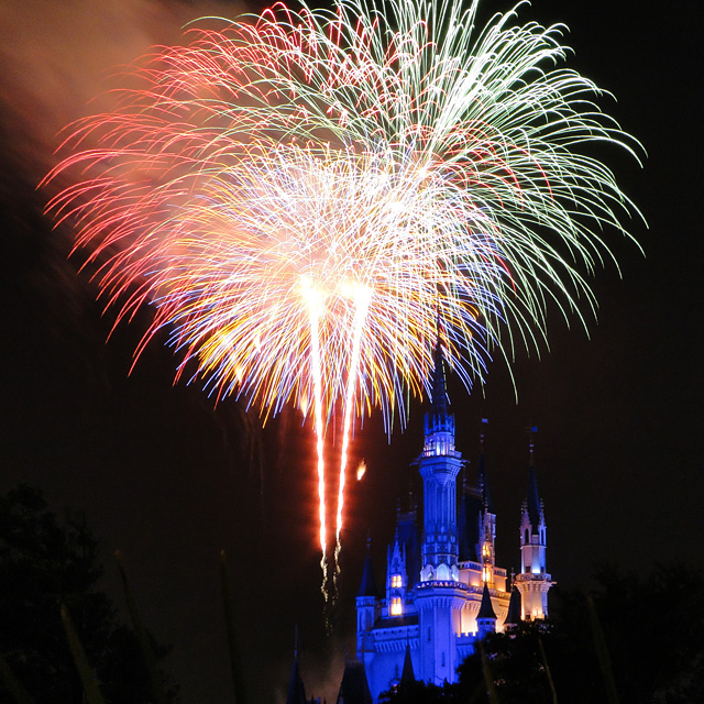 Disney Magic in the Sky