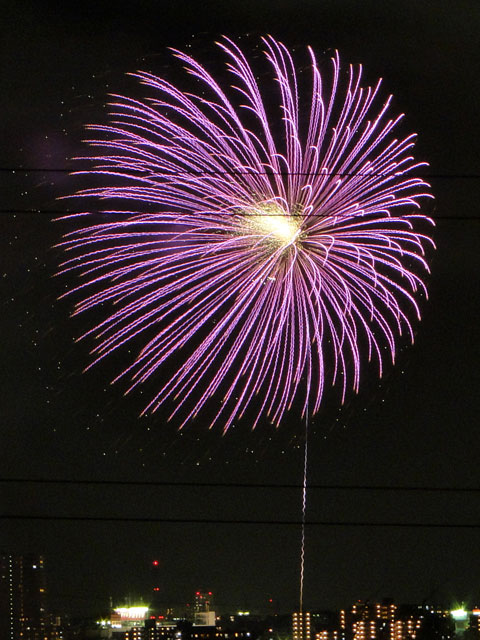 Edogawa Fireworks Festival