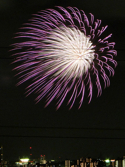 Edogawa Fireworks Festival