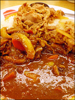 Curry with Cooked Beef