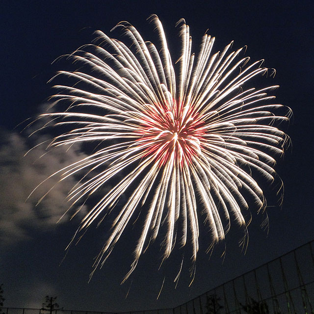 Sumida River Fireworks Festival