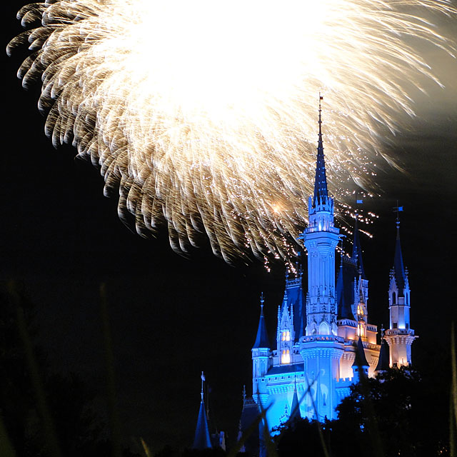 Night High Halloween