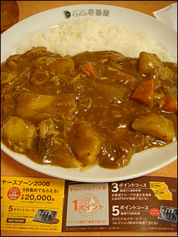 Grand Mother Curry with Stewed Chicken and Chesse