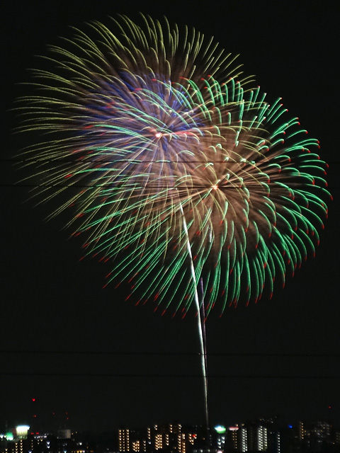 Edogawa Fireworks Festival