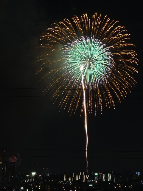 Edogawa Fireworks Festival