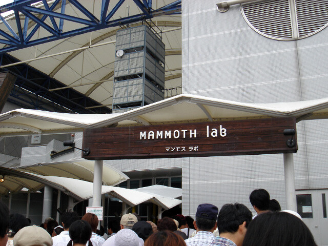 Mammoth Lab