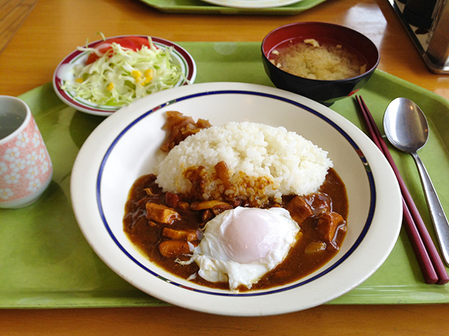 Chicken and Soft-Boiled Egg Curry with Rice