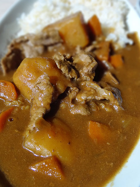 Homemade Low Fat Beef Curry with Sprouted Brown Rice