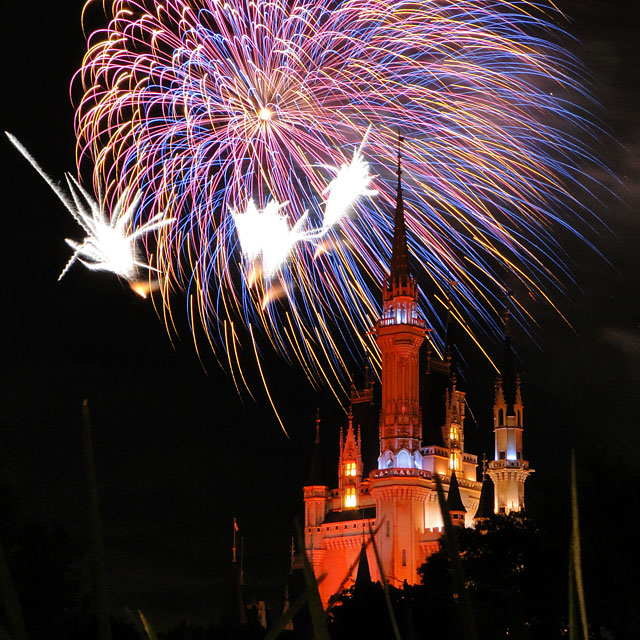 Night High Halloween