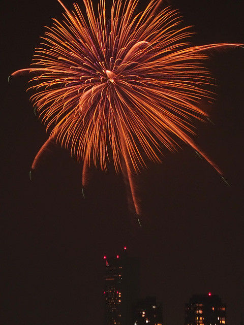 Makuhari Beach FIreworks Festa