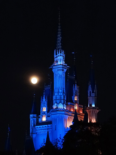 Cindellera Castle with Moon