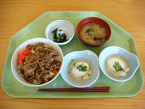 Beef Bowl and Soft-Boiled Eggs
