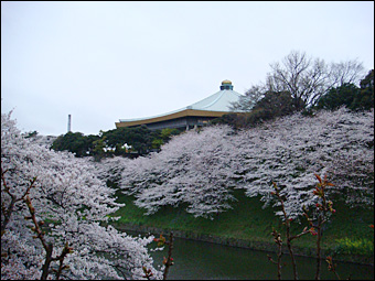 Budokan